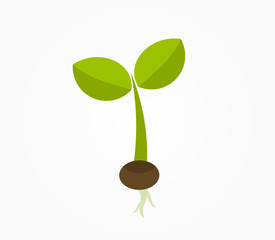 Wall Mural - plant seedling growing from the seed icon. vector plant illustration.