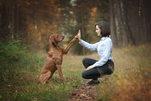 Dog Giving A High Five To The Owner.