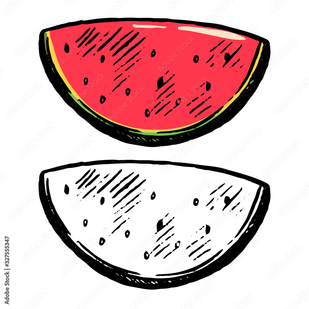 Hand drawn vector illustration. Set of contour and color drawing ...
