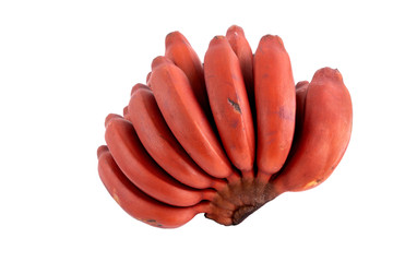 fresh red banana isolated on white background. group of varieties of banana with reddish-purple skin. Musa acuminata Red Dacca. variety contains more beta carotene and vitamin C than yellow bananas.