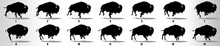 Bison Run Cycle Animation Frames Silhouette, Loop Animation Sequence Sprite Sheet 
