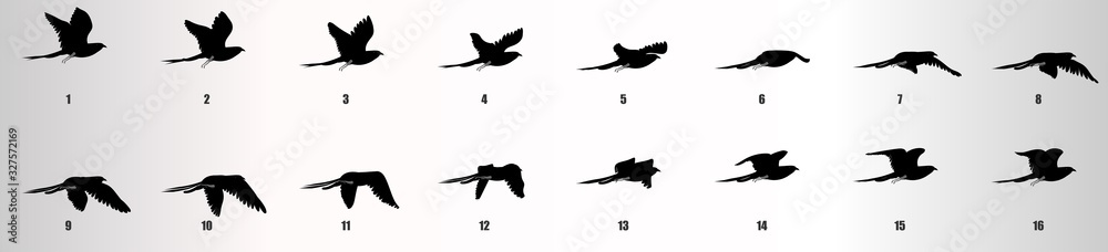 Bird flying animation sequence silhouette, loop animation sprite sheet - obrazy, fototapety, plakaty 