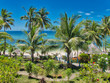 Palmen am weißen Sandstrand der Insel Bohol auf den Philippinen