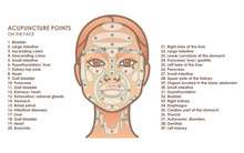 Acupuncture Points On The Face. Young Woman Face. Vector Illustration