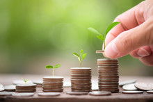 Hand Putting Coin Stack Growing Graph With Green Bokeh Background,investment Concept.tree Growing On Coin,Business Finance And Save Money Concept