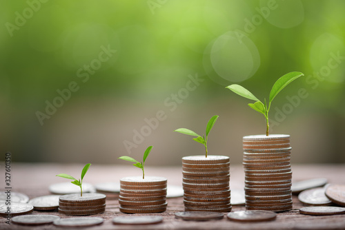 Cuadros en Lienzo Money coin stack growing graph with green bokeh background,investment concept
