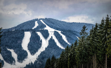 Wall Mural - Winter cloudy landscape of the Carpathian Mountains in Eastern Europe