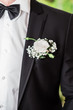 © Oksana - Close up of a groom. The groom in a suit with a buttonhole and a butterfly.