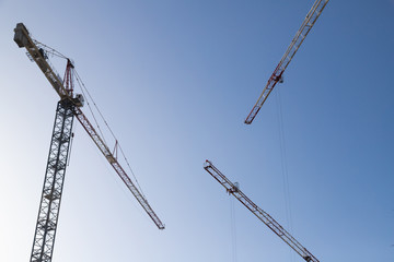 Three cranes against blue sky