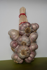 Wall Mural - White and purple garlic head on a white background