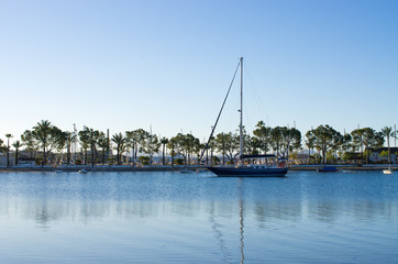 Poster - Seaside of Port de Alcudia, Mallorca, Spain