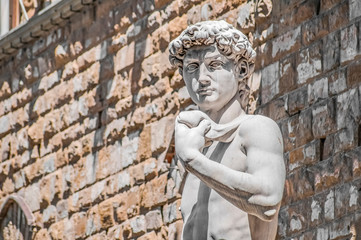 Canvas Print - Michelangelo's David statue in Florence, Italy