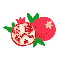 Wall Mural - Pomegranate with seeds. Fruit drawing with green leaves isolated on white. Great as logo or label for juice, soap and organic product. Flat cartoon vector