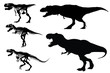 Silhouette of  Tyrannosaurus rex and  skeleton vector