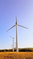 wind turbines in the field