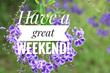 © Maria Marganingsih - Greeting card - Have a great weekend. With beautiful purple flowers background. Nice weekend concept.