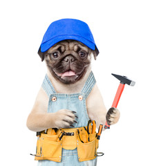 Poster - Pug puppy worker wearing blue cap with tool belt  holds hammer. Isolated on white background