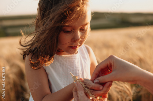 Fotografía Charming red haired caucasian girl holding some wheat seeds posing in a field ne
