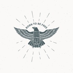 Color illustration of an eagle in the rays and text on a background with a grunge texture. Vector illustration on the theme of freedom. Eagle symbol of the USA.