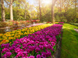View at beautiful Keukenhof park flower lawns under blue sky during annual exhibition