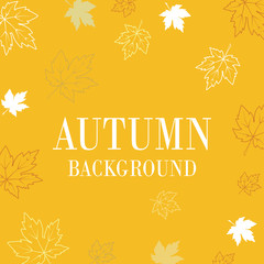 Wall Mural - Autumn maple leaves background use for decorate, website, logo etc . vector illustration