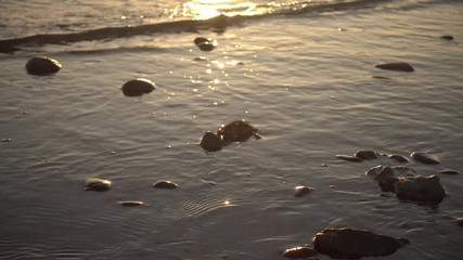 Wall Mural - Small waves reaching the shore of a beach