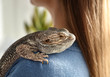 © New Africa - Young woman with bearded lizard at home, closeup. Exotic pet