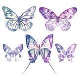 Fototapeta Motyle - Watercolor butterflies isolated on white background. Big bright set. Abstract colorful illustration collection