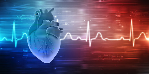Poster - 3d illustration  Anatomy of Human Heart 