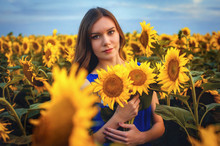 Beautiful Young Slender Girl With Long Hair In A Field With Blooming Sunflowers At Sunset