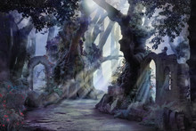 Into The Deep Woods, Atmospheric Landscape With Archway And Ancient Trees, Misty And Foggy Mood