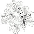 garden flower black outlines on white