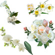 collection of isolated white flowerbunches