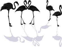Five Black Flamingo Sketches With Shadows On White