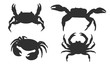 Vector silhouette of a crab on a white background.