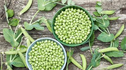 Peas in bowls with fresh cut plant leaf nearby and bean pods on wooden rustic textured background, closeup, flat lay, from above overhead top view, vegan food and healthy organic food concept