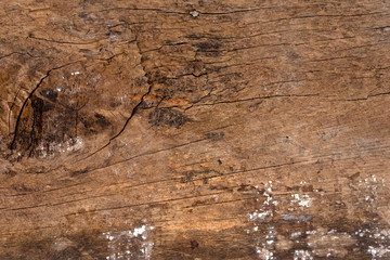 Texture of old wood board,