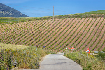 Canvas Print - Side road in Trapani Province of Sicily autonomous region in Italy