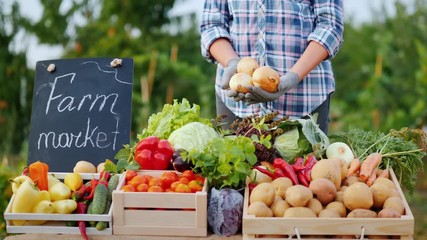 Wall Mural - The farmer holds a ripe onion in his hands, stands at the counter of the Farmer's Market