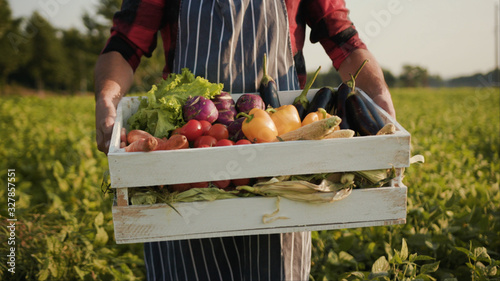 Fotografía Hands young farmer is holding a box of organic vegetablesagriculture farm field