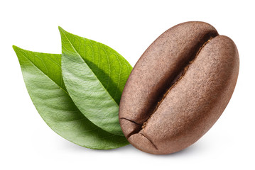 Wall Mural - Close-up of a single coffee bean with leaves, isolated on white background