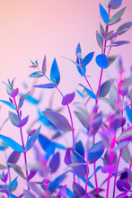 Light Neon Vertical Background With Leaves. Colorful Botanical Backdrop With Vibrant Gradients On Petals. Nature Branch With Pink And Blue Vivid Colors. Organic Twigs With Beautiful Illumination