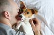 © Evrymmnt - Emotional support animal concept. Portrait of man sleeping with jack russell terrier dog in bed. Adult male and his pet lying together on white linens. Close up, copy space, background.