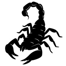 Black Silhouette Of A Scorpion, Vector Illustration Isolated