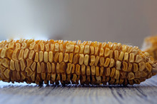 Dried Corn On A Blue Wooden Board,agriculture Product