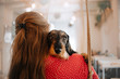 dachshund dog portrait close up while being held in owners arms
