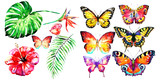 beautiful color butterflies, set, watercolor,  isolated  on a white