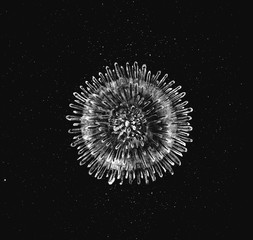 Wall Mural - coronavirus abstract art, virus black and white 