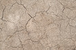 Natural Background Pattern with Thin Straight Cracks in Mud from Repeated Frost Thaw Cycles. This brown dirt soil surface design has a unique texture and stylish pattern.