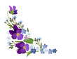 Ornament von Veilchen und Vergissmeinnicht Blumen,   Vektor Illustration isoliert auf weißem Hintergrund